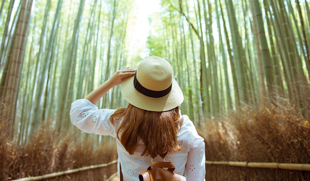 "Natural ingredients" and "clean ingredients" in cosmetics: what's the difference?